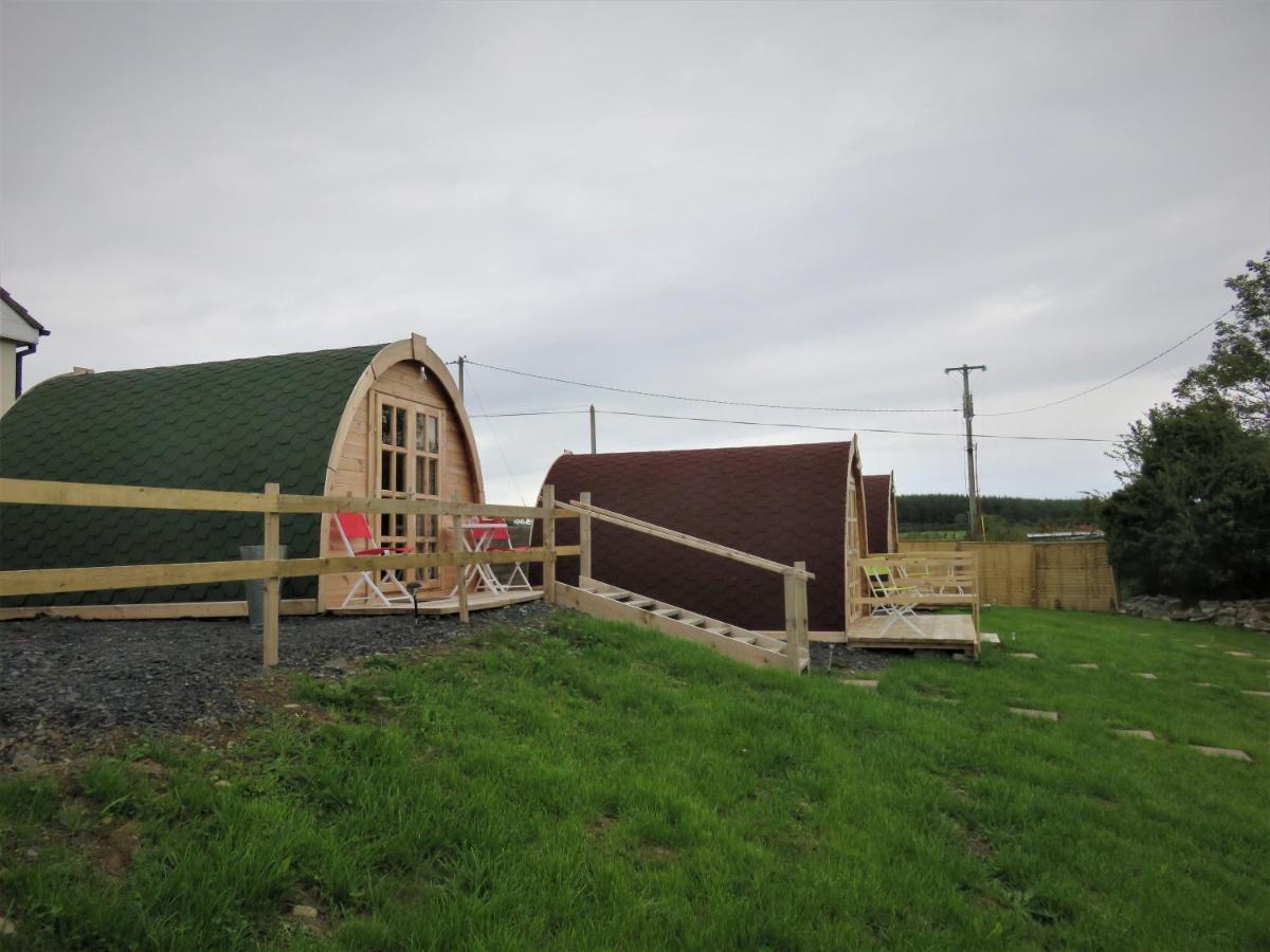 Shannon Estuary Glamping Effernan 외부 사진