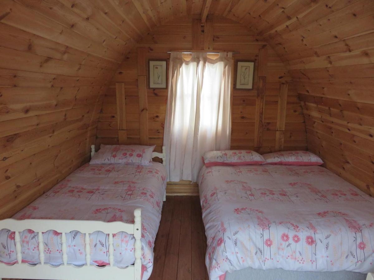 Shannon Estuary Glamping Effernan 외부 사진