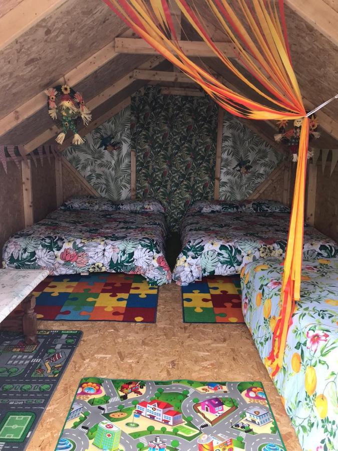 Shannon Estuary Glamping Effernan 외부 사진