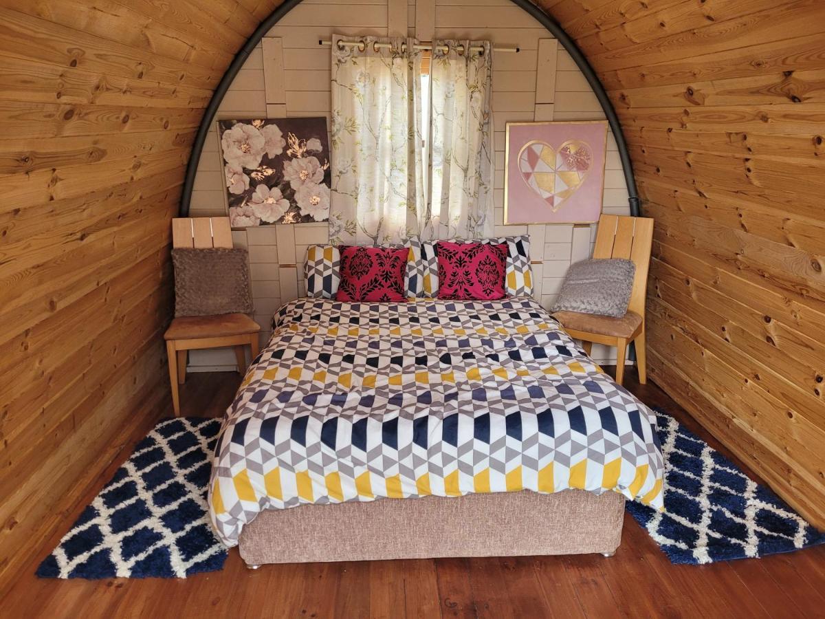 Shannon Estuary Glamping Effernan 외부 사진