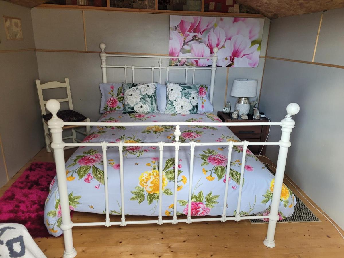 Shannon Estuary Glamping Effernan 외부 사진