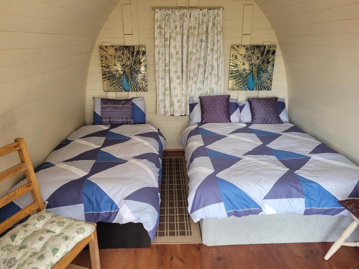 Shannon Estuary Glamping Effernan 외부 사진