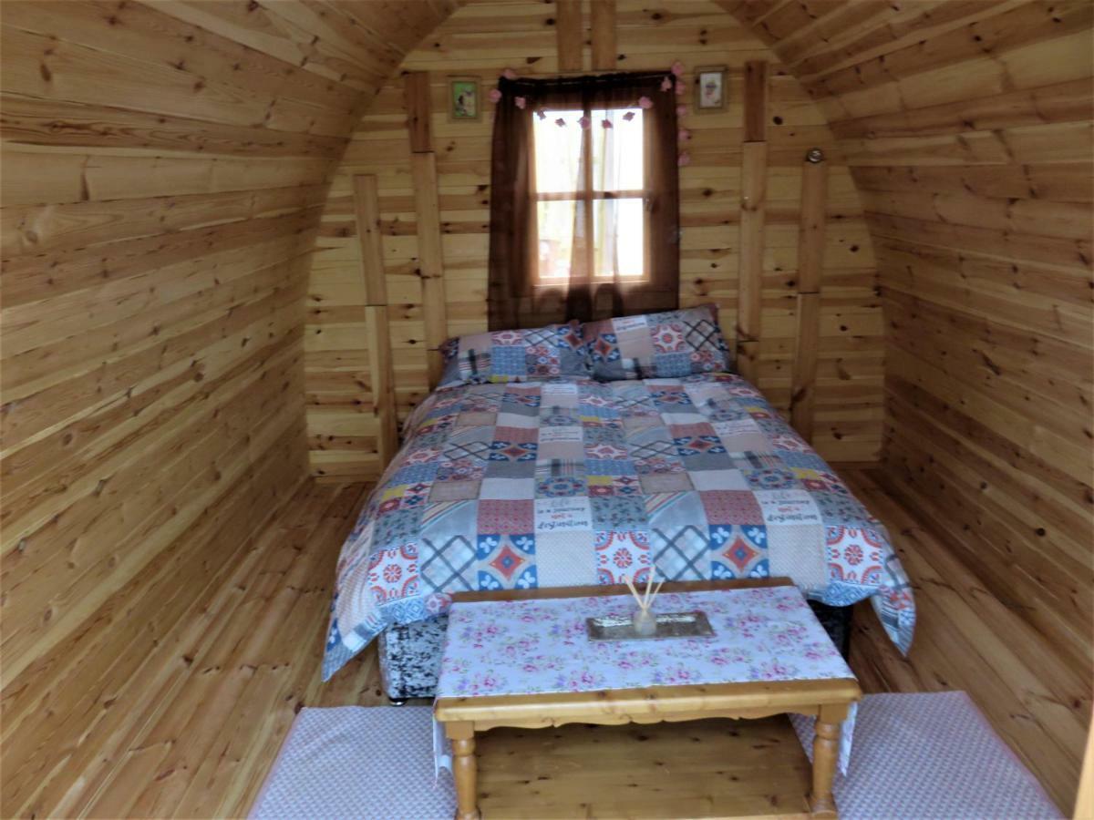 Shannon Estuary Glamping Effernan 외부 사진