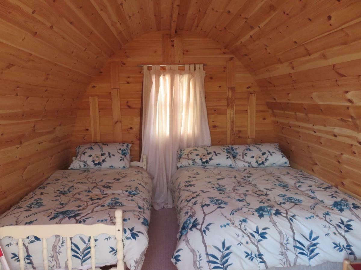 Shannon Estuary Glamping Effernan 외부 사진