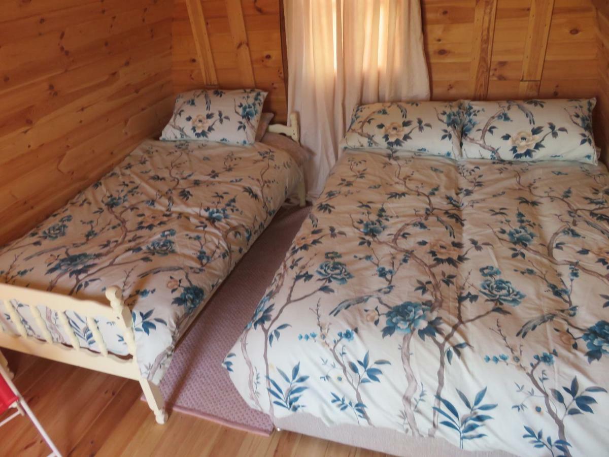 Shannon Estuary Glamping Effernan 외부 사진