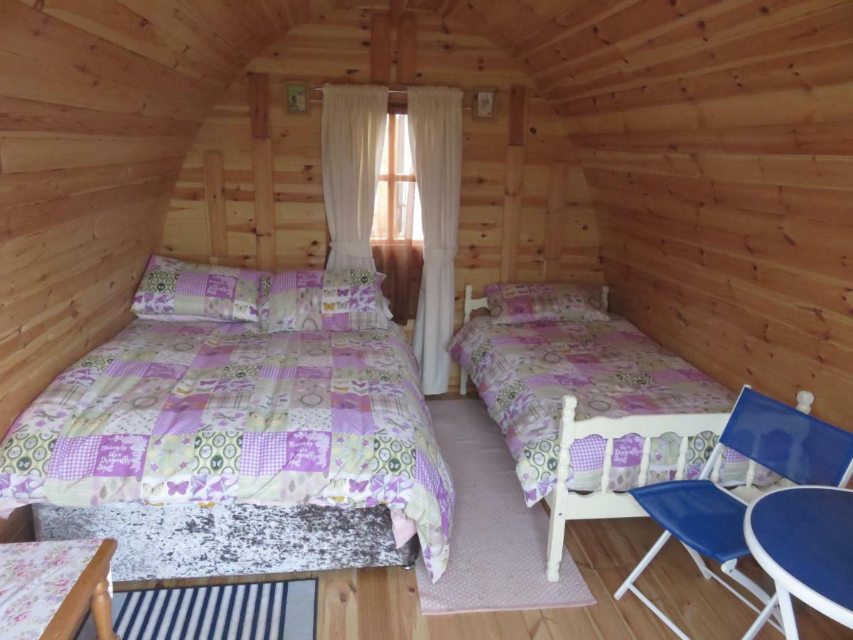 Shannon Estuary Glamping Effernan 외부 사진
