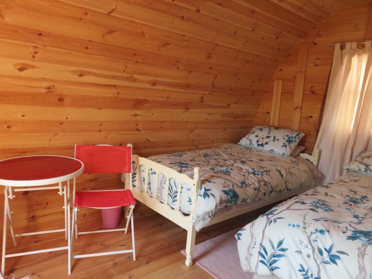 Shannon Estuary Glamping Effernan 외부 사진