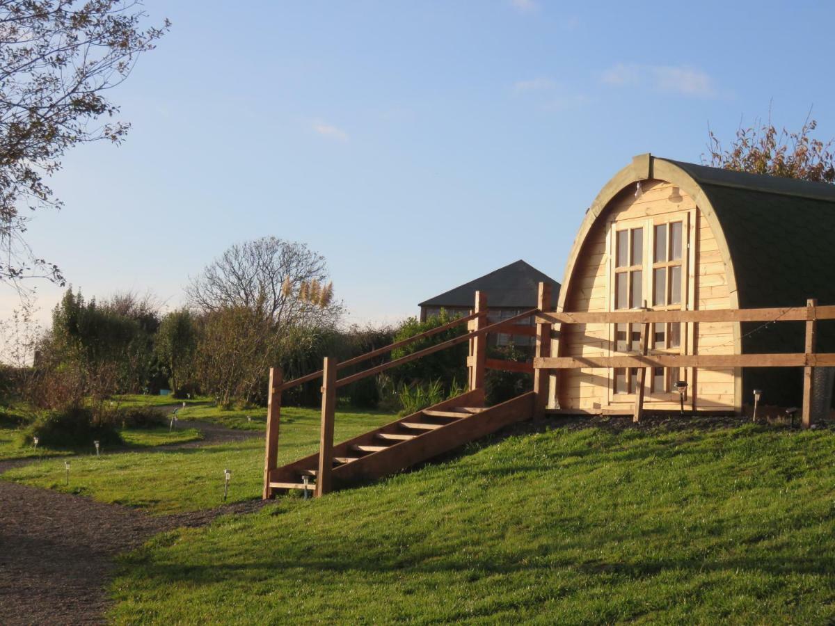 Shannon Estuary Glamping Effernan 외부 사진